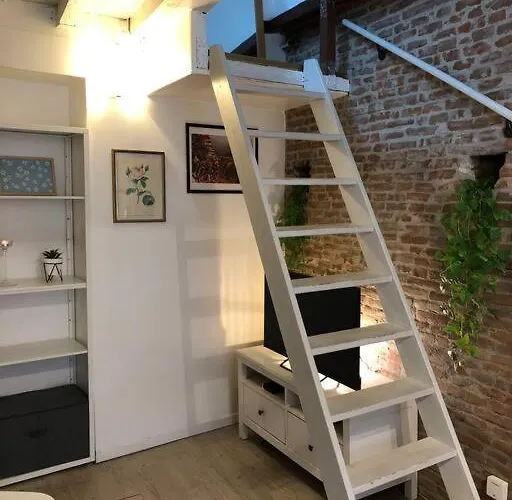 Apartment Saint Rome Toulouse