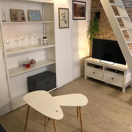 Saint Rome Apartman Toulouse