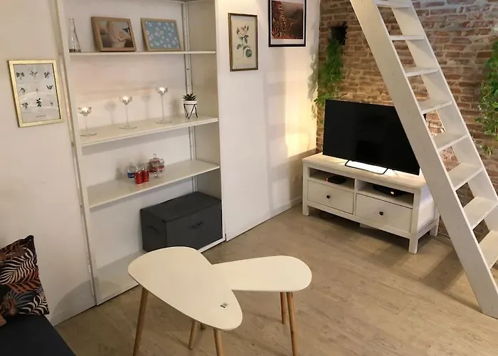 Saint Rome Apartamento Toulouse